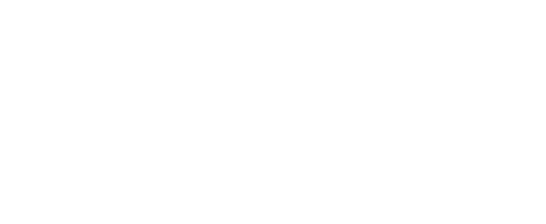 Call Mr Inspector logo in white